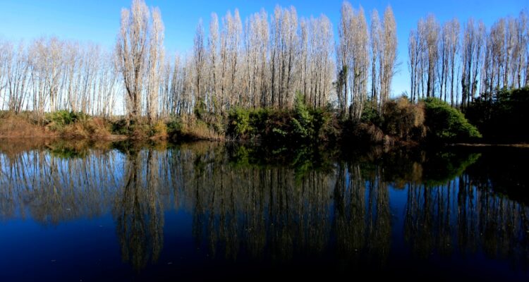 CONTEXTO | Agencia UNO