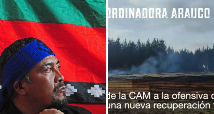 Comunidad mapuche se toma predios en Collipulli con apoyo de la CAM