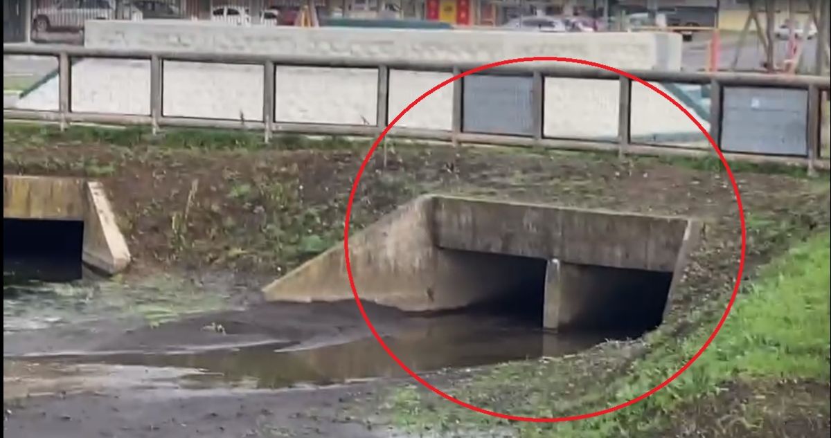 Contaminación humedales concepción