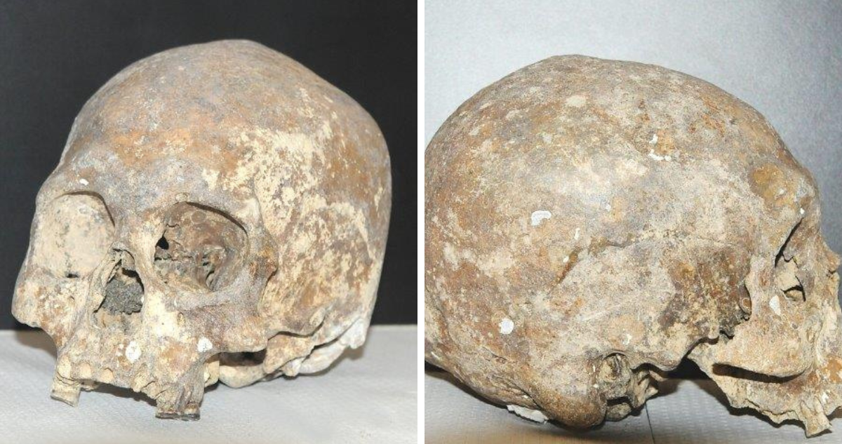 Hallan cráneo humano en el Golfo de Arauco: es el vestigio más antiguo encontrado en el Bío Bío