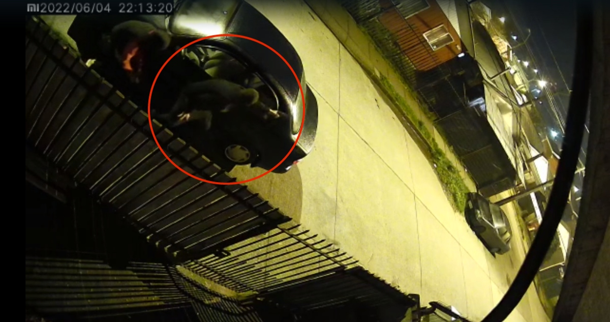 Captura de video