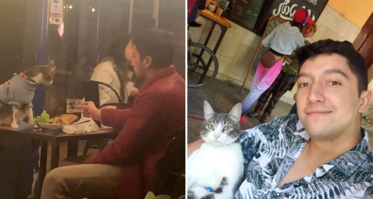 El gato Elton y Justin Lange en Concepción