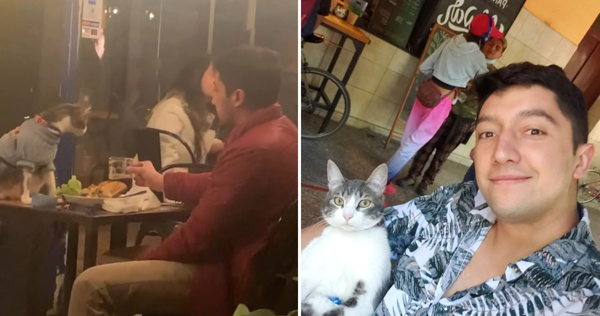 El gato Elton y Justin Lange en Concepción