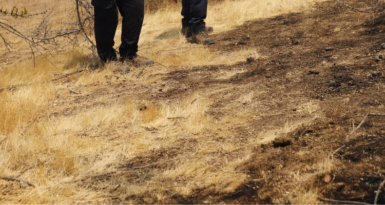 Encuentran cuerpo sin vida de hombre desaparecido en Maullín: estaba en matorrales de sitio eriazo