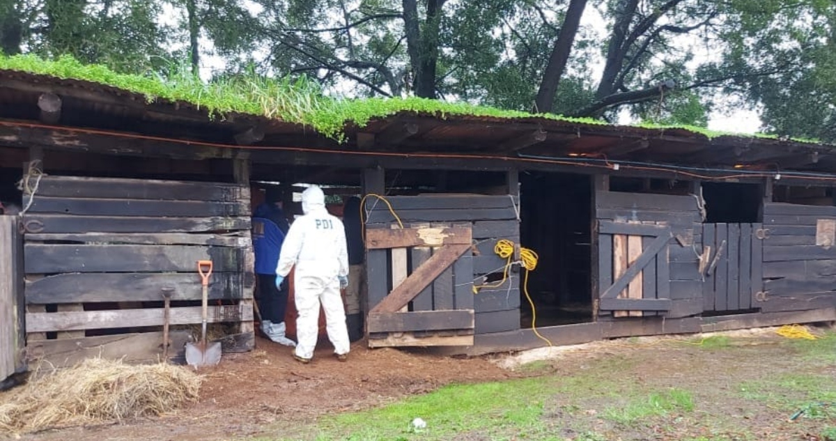 Femicidio Osorno desaparecida