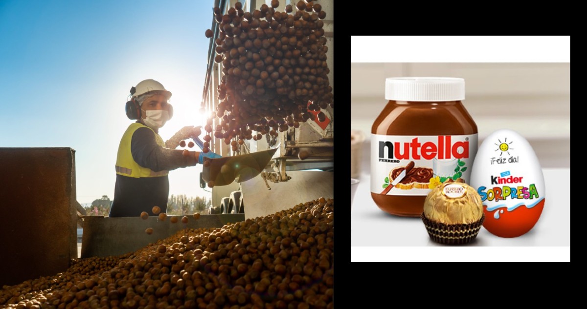 Gobierno celebra que chocolatera Ferrero optara por una región de Chile para instalar nueva planta