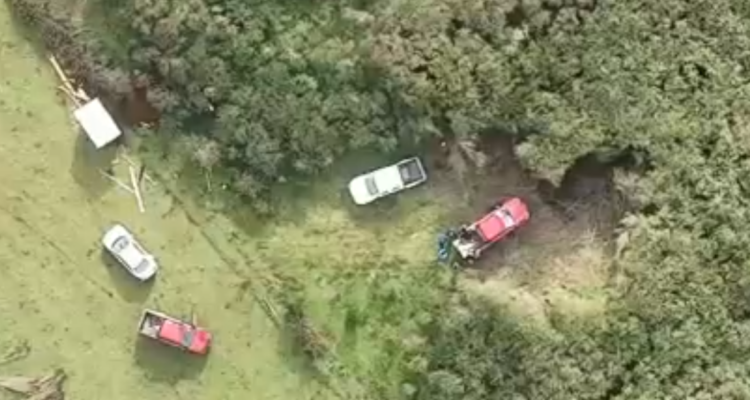 Fiscalía pidió antecedentes a la Forestal Arauco y a Carabineros sobre inacción frente a ataque