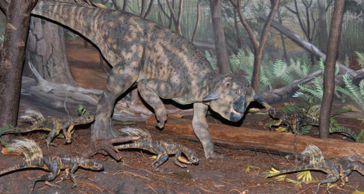 Psittacosaurus (Imagen referencial, Pixabay)