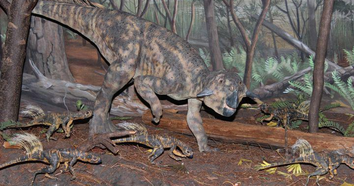 Psittacosaurus (Imagen referencial, Pixabay)