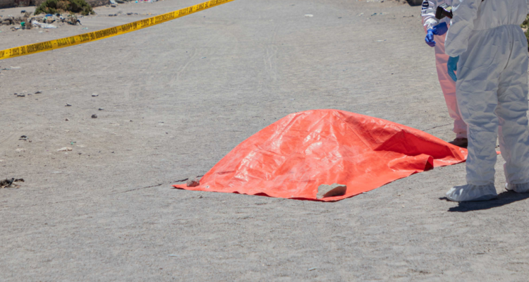 Cadáver de mujer fue hallado en Llanquihue: cuerpo presenta lesiones provocado por animales