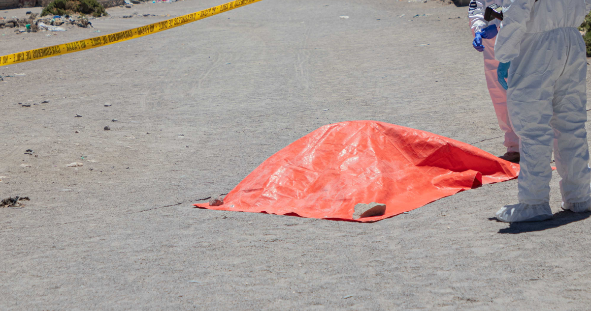 Cadáver de mujer fue hallado en Llanquihue: cuerpo presenta lesiones provocado por animales