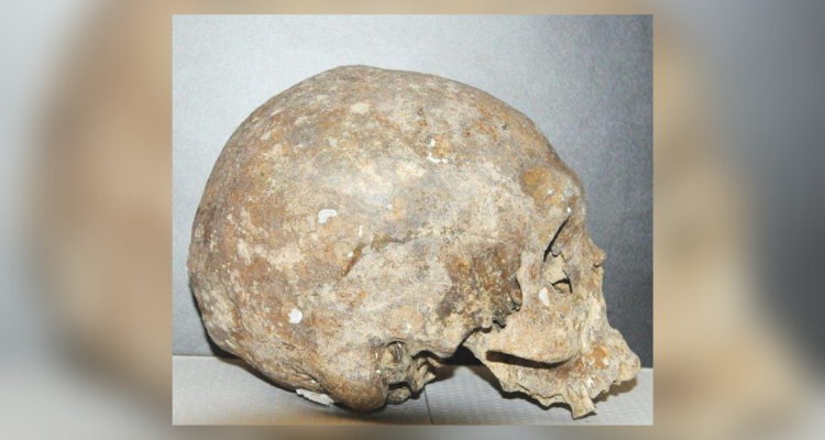 Hallan cráneo humano en el Golfo de Arauco: es el vestigio más antiguo encontrado en el Bío Bío