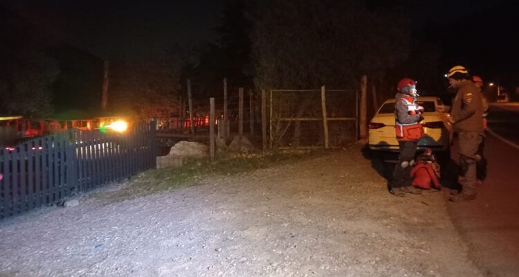 Macabro hallazgo en San José de Maipo: perro llegó a su casa con cabeza humana