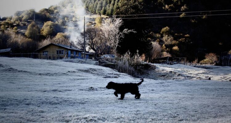 Cañerías congeladas por heladas en Futaleufú