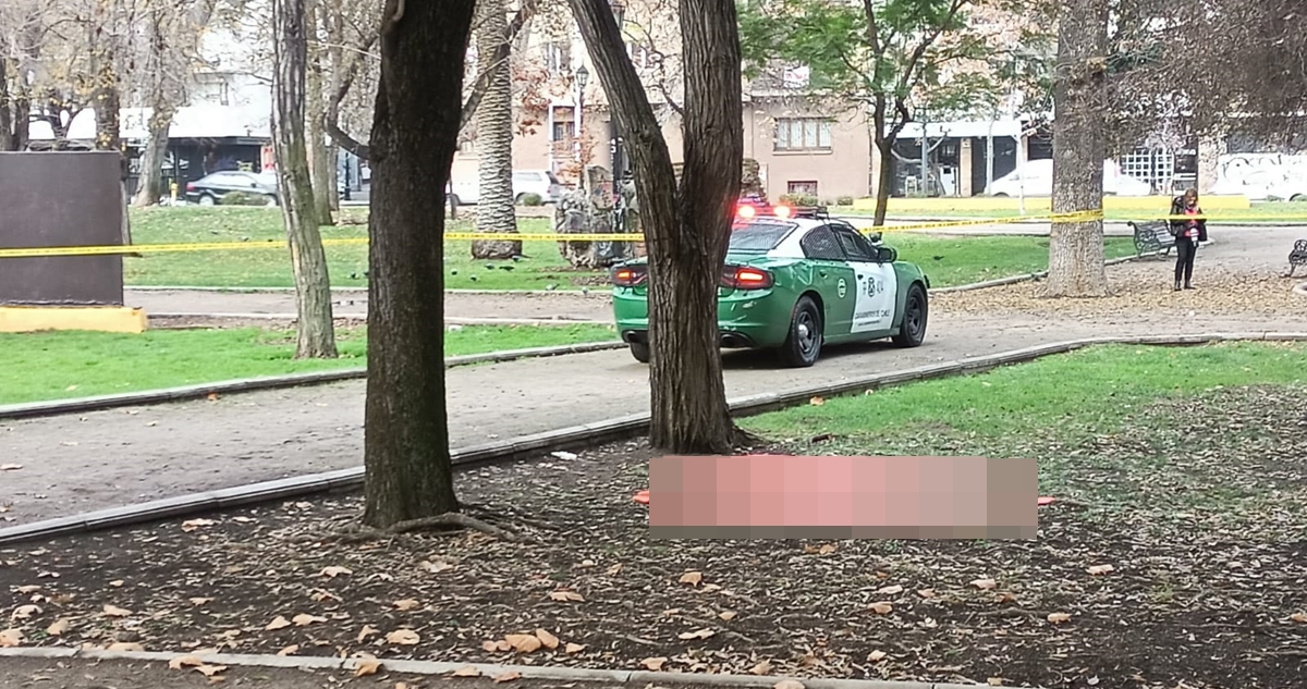 Hombre es asesinado en el Parque Forestal: homicidas lo seguían desde el barrio Bellavista