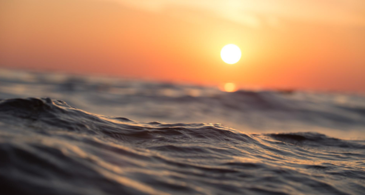 importancia de los oceanos