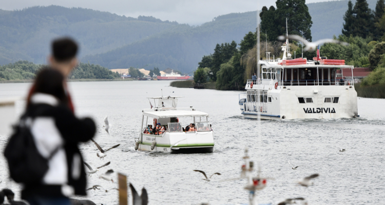 Inmobiliarias y comunidades llegan a acuerdo para reparación ambiental en la costa de Valdivia.