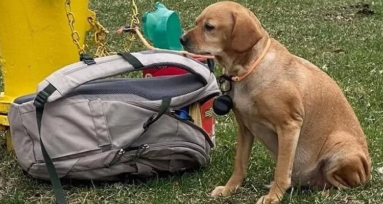 La foto viralizada de ‘Baby Girl’ junto a mochila y carta
