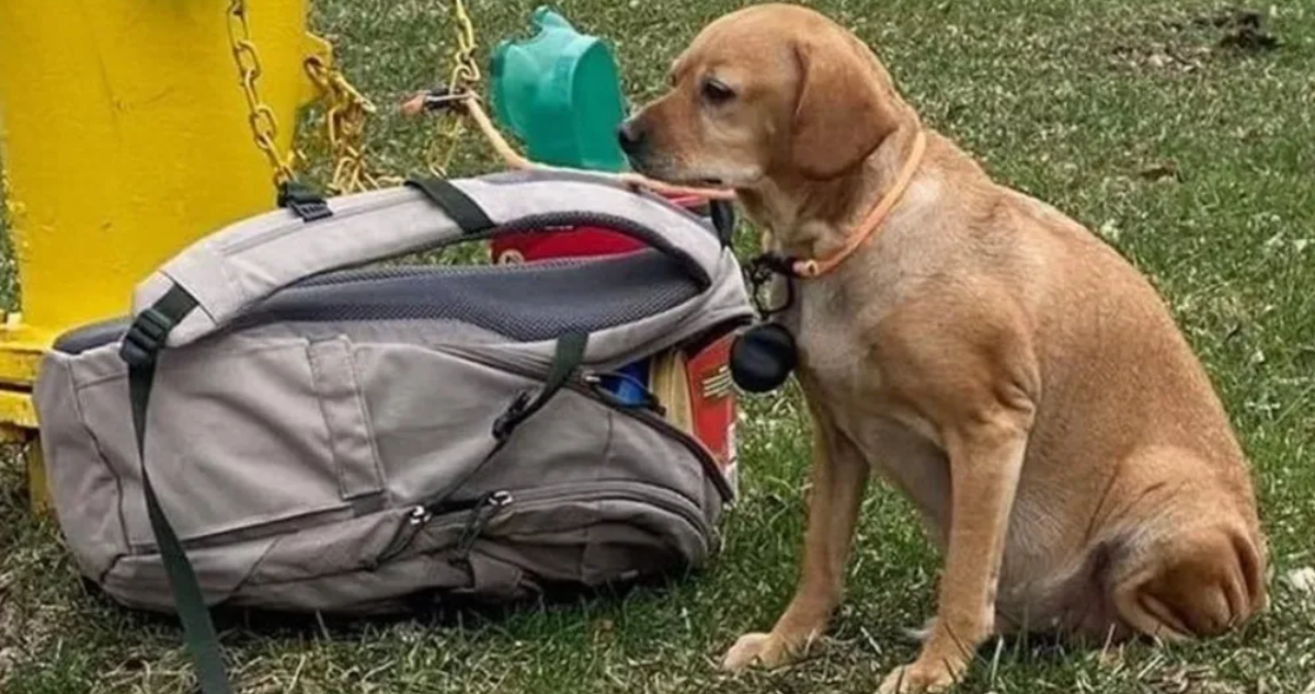 La foto viralizada de ‘Baby Girl’ junto a mochila y carta