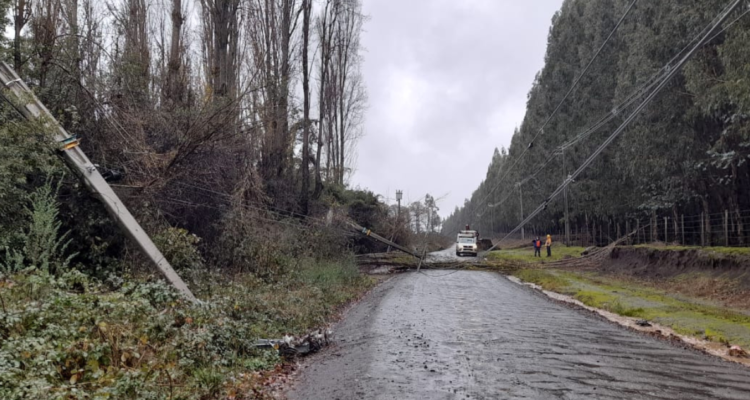 corte luz Los Ángeles