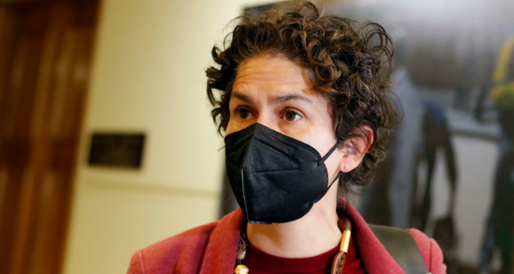 Ministra Maisa Rojas