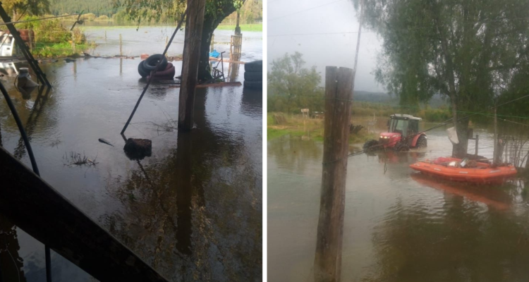 Más de 100 personas están aisladas en zona rural de Fresia por inundaciones y salida de ríos