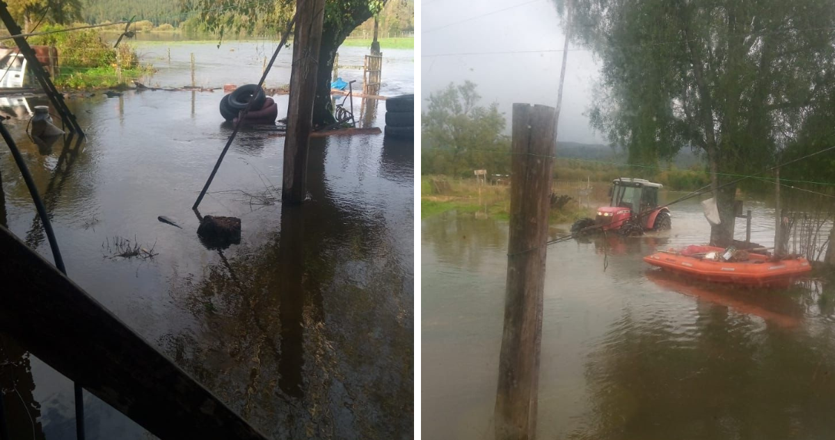 Más de 100 personas están aisladas en zona rural de Fresia por inundaciones y salida de ríos