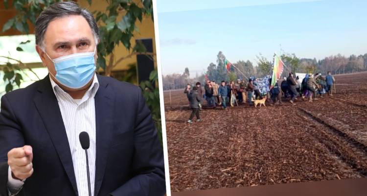 Tras reivindicación mapuche: ofician al Gobierno a aclarar si comprará tierras de Centro INIA Vilcún