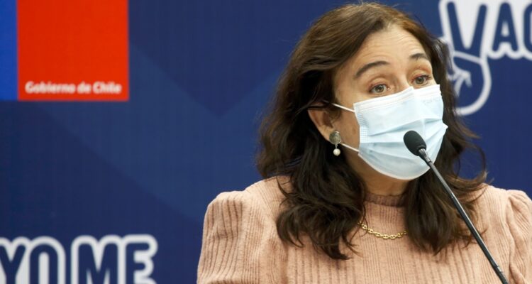 Jefa del Minsal, María Begoña Yarza