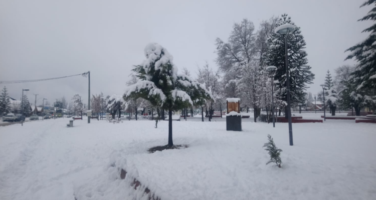 Siguen personas aisladas por nieve caída en Lonquimay.