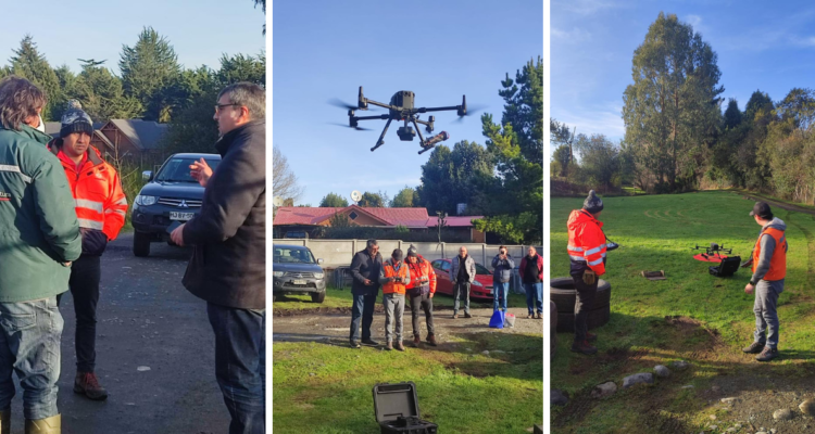 “Podría estar una semana sin comer”: Puma desaparecido ataca a oveja de sector rural de Puerto Montt