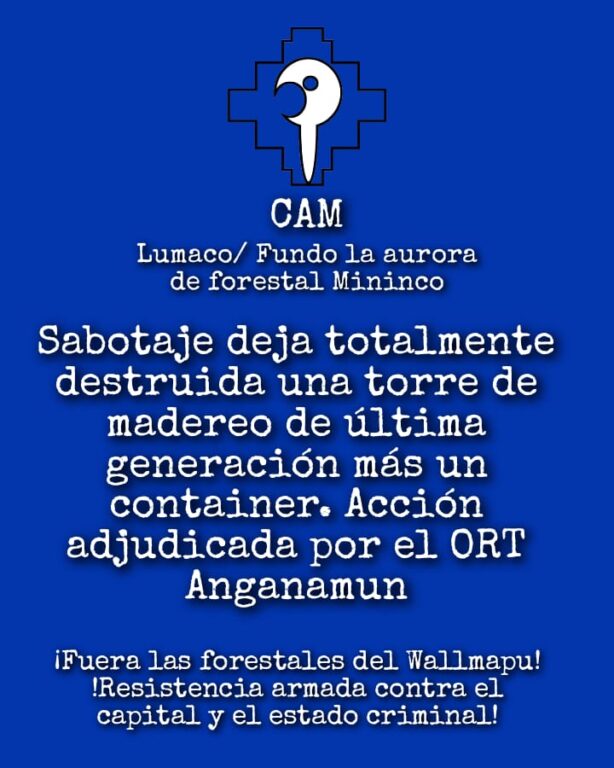 ORT de la CAM se adjudica ataque incendiario en Lumaco.