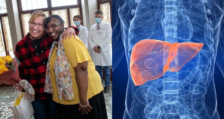 pacientes-higado-dividido-trasplante