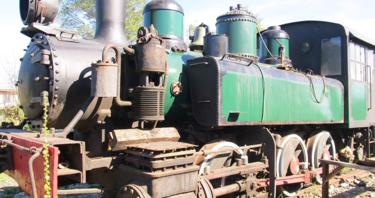 denuncian abandono de patrimonio ferroviario en Valdivia
