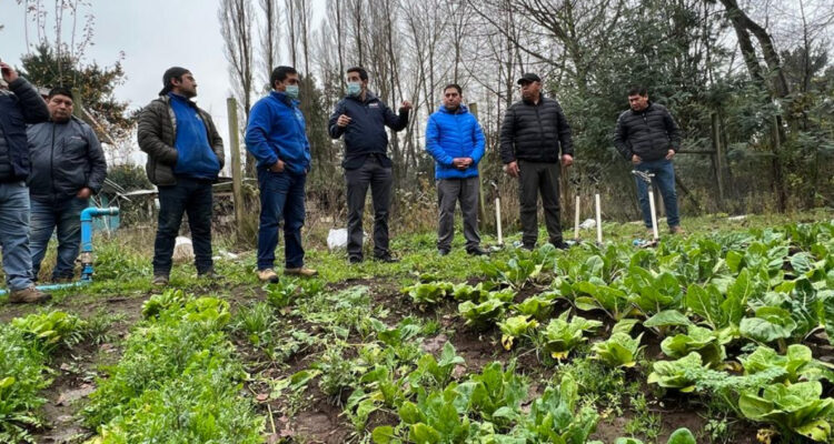 Director de Indap con agricultores de La Araucanía