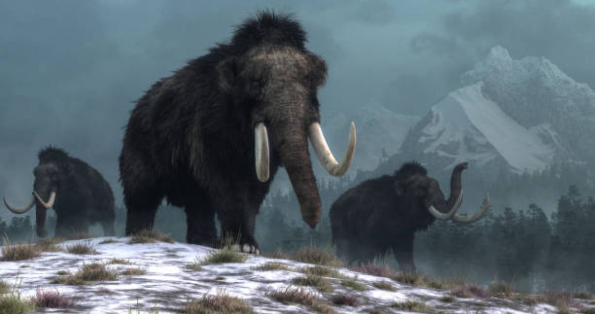 cría-de-mamut