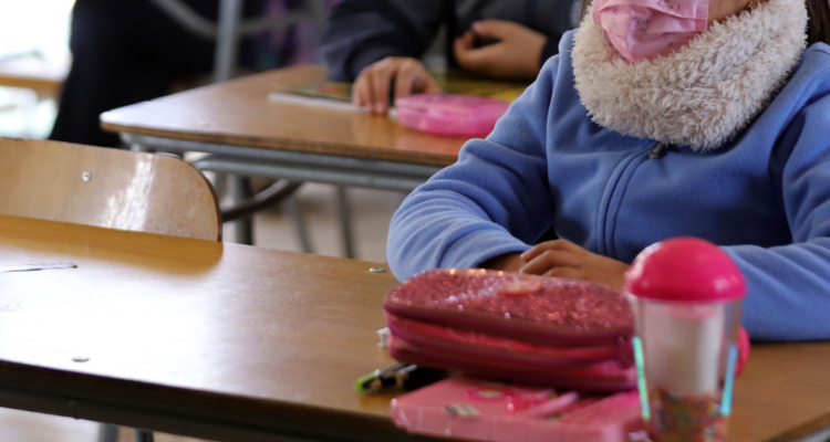 proceso de enseñanza