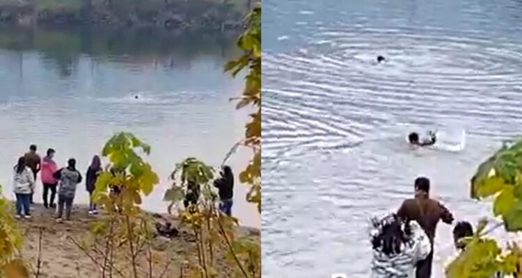 Carabineros rescatan a niña tras caer en heladas aguas del río Aysén