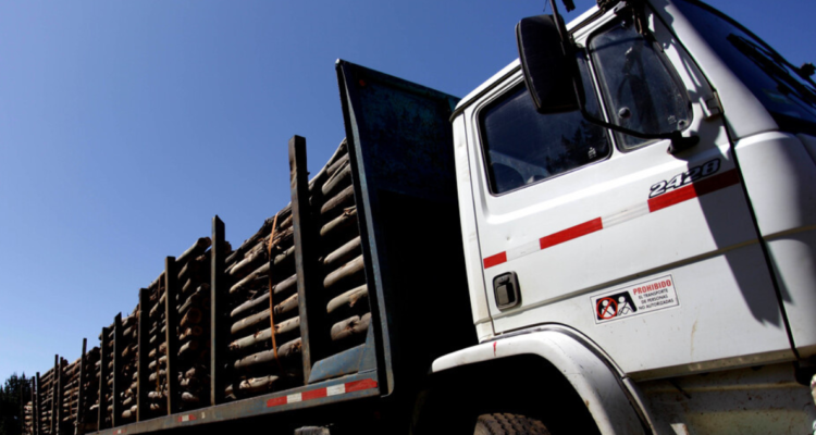 Corma robo de madera