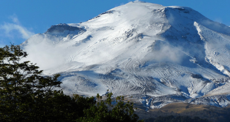 SEA rechaza la construcción de edificios en Parque Nacional Puyehue: está en un espacio protegido