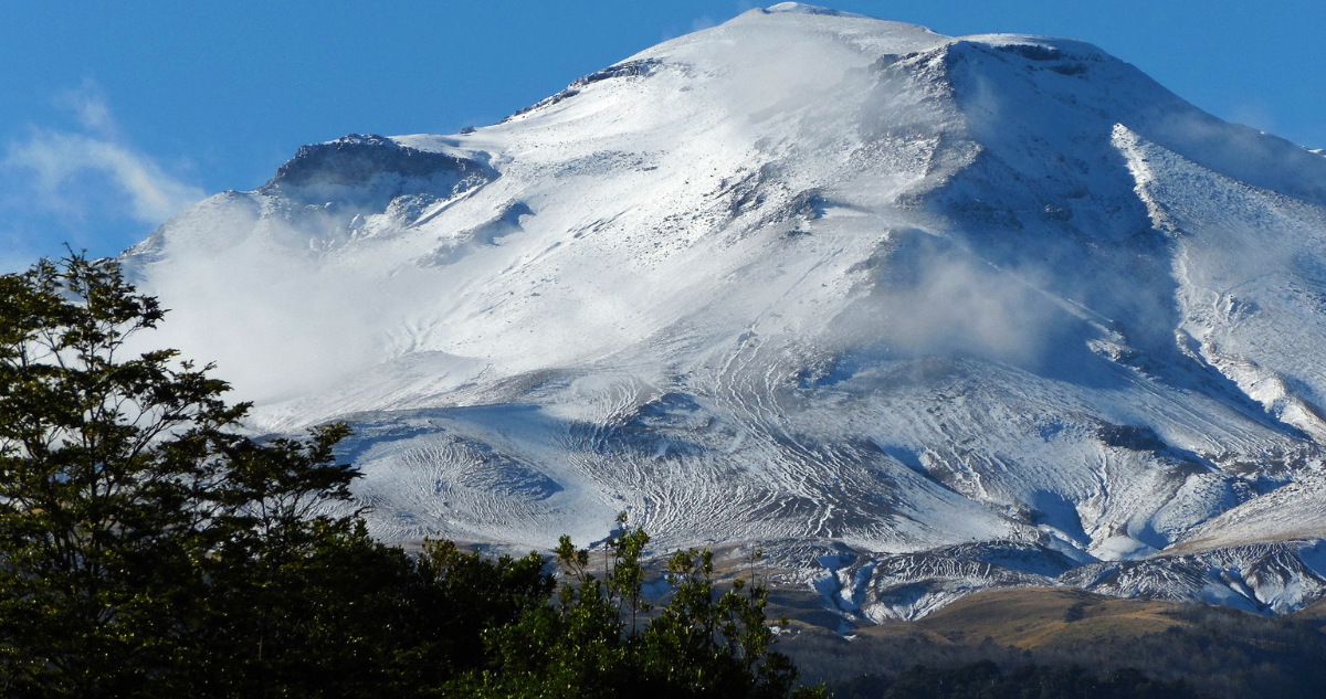 SEA rechaza la construcción de edificios en Parque Nacional Puyehue: está en un espacio protegido