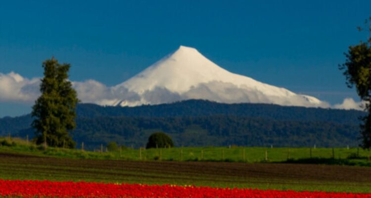 SMA rechaza paralizar loteos en Parque Nacional Puyehue