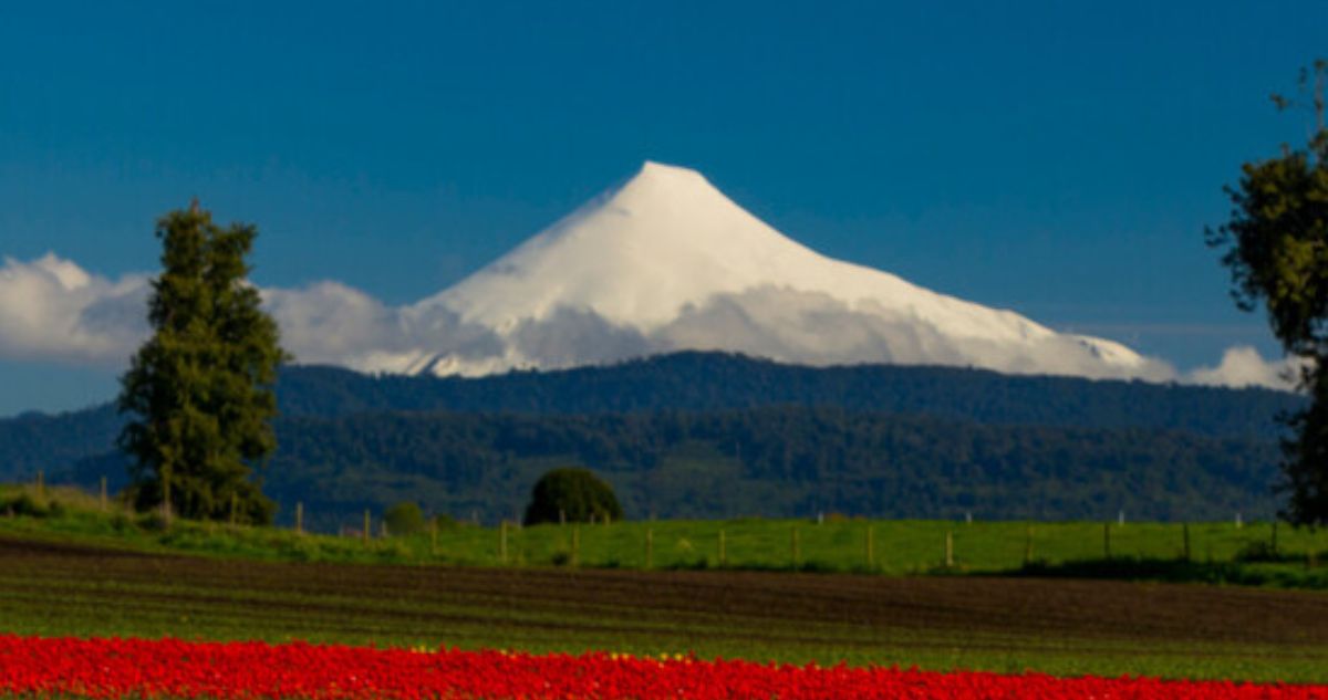 SMA rechaza paralizar loteos en Parque Nacional Puyehue