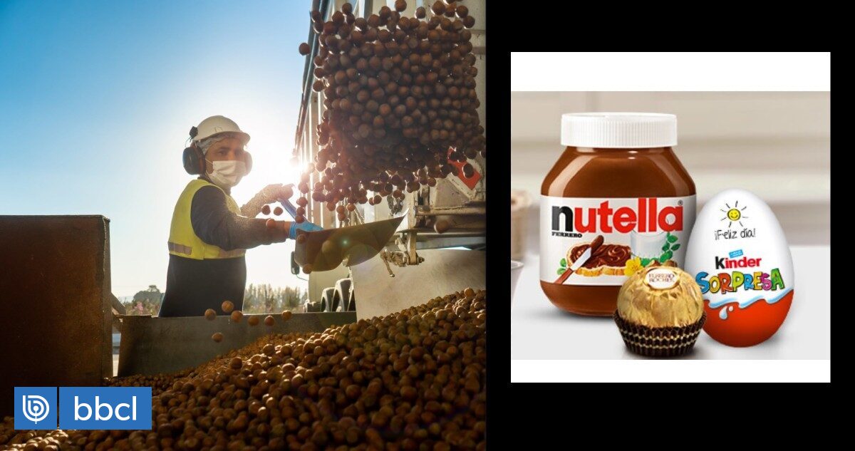 Il governo celebra la scelta dell’azienda di cioccolato Ferrero in Cile per l’installazione di un nuovo stabilimento |  Economia