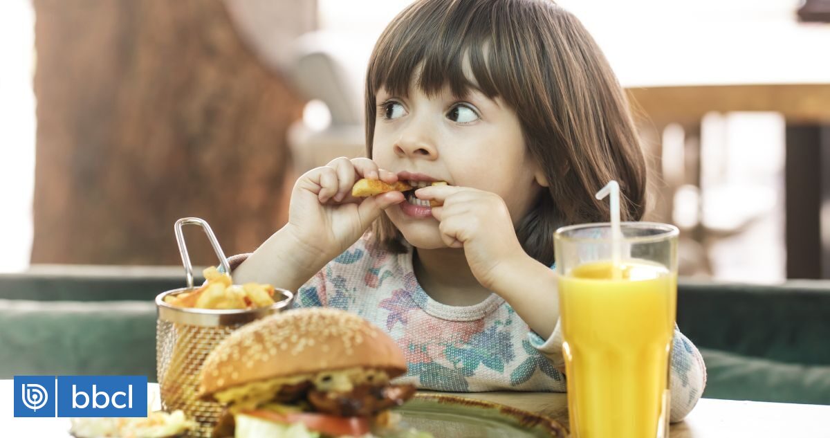 Chile lidera piores cardápios infantis de fast food segundo estudo: não há ofertas saudáveis ​​|  Saúde e bem estar