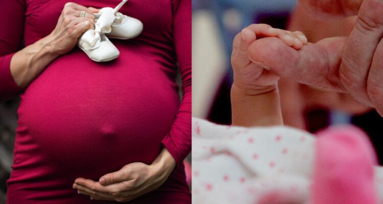 Subsidio al recién nacido, subsidio maternal y asignación maternal