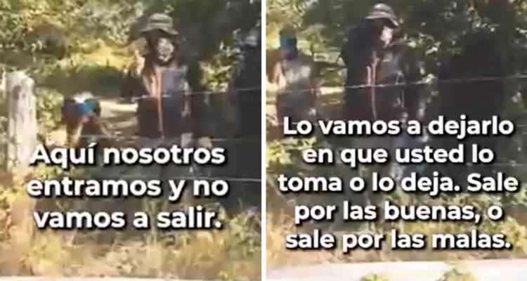 Gobierno no ha presentado querellas por fundo tomado en Alto Bío Bío-