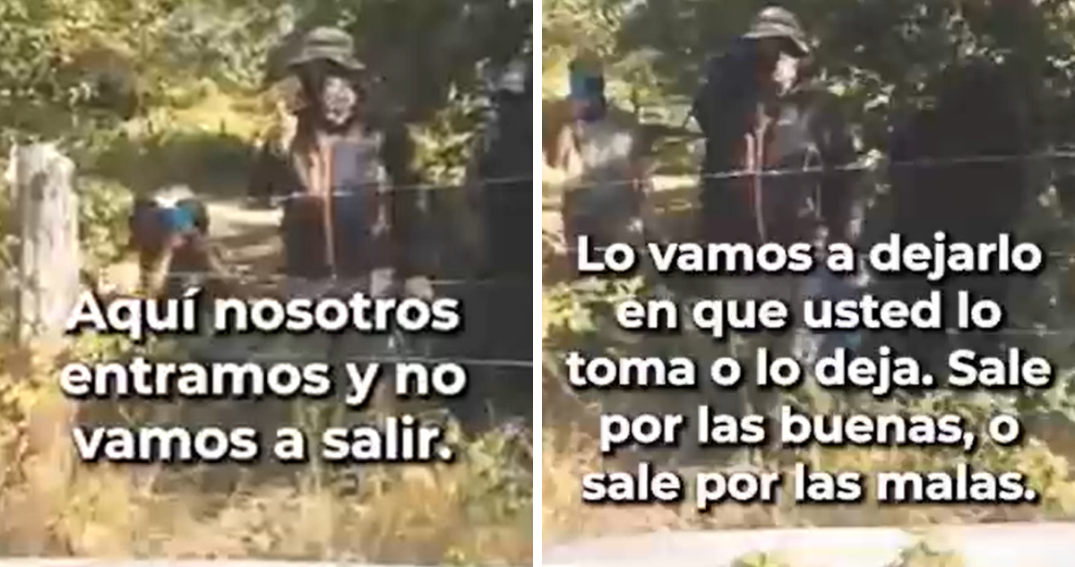 Gobierno no ha presentado querellas por fundo tomado en Alto Bío Bío-