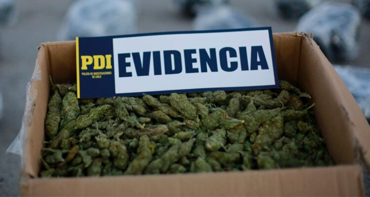 Tráfico marihuana Iquique