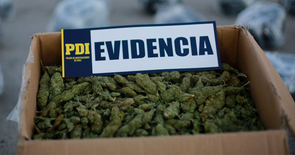 Tráfico marihuana Iquique